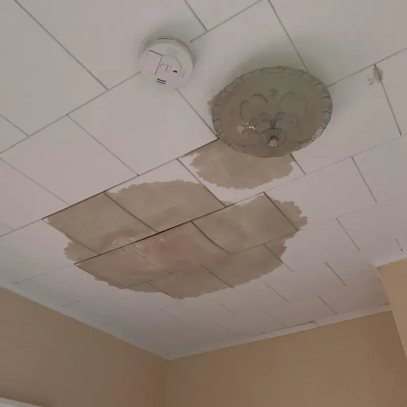 Ceiling Water Damage Repair in Malone, NY